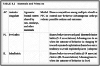 TABLE 4.2. Mammals and Primates.