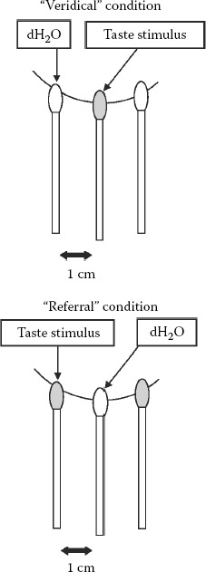 FIGURE 36.6. Taste localization by touch.