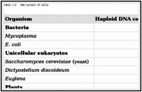 Table 1.2. DNA Content of Cells.