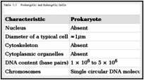 Table 1.1. Prokaryotic and Eukaryotic Cells.