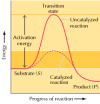 Figure 2.22. Energy diagrams for catalyzed and uncatalyzed reactions.