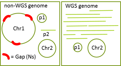 Each chromosome in a non-WGS genome is in a single piece and there are no extra sequences. A WGS genome may still have chromosomes in multiple pieces and/or unplaced sequences