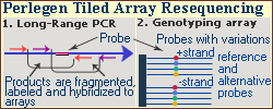 Perlegen Ling-Range PCR