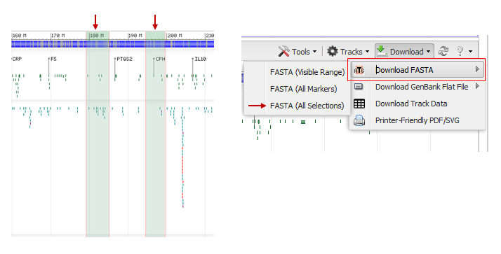Fasta Формат. Программы fasta. Примеры текстов в формате fasta. Расширение файла fasta.