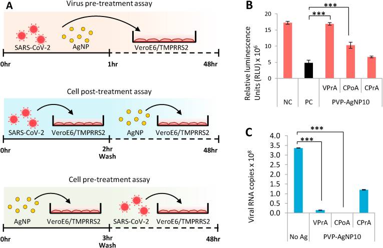 Các hạt nano bạc ức chế hiệu quả SARS-CoV-2 ngoại bào
