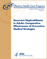 Cover of Recurrent Nephrolithiasis in Adults