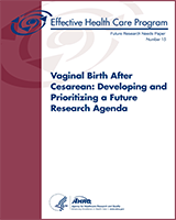 Cover of Vaginal Birth After Cesarean: Developing and Prioritizing a Future Research Agenda