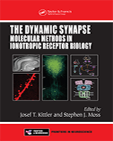 Cover of The Dynamic Synapse