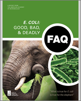 Cover of FAQ: E. Coli: Good, Bad, & Deadly