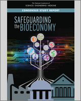Cover of Safeguarding the Bioeconomy