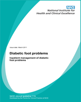 Cover of Diabetic Foot Problems