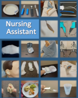 Cover of Nursing Assistant