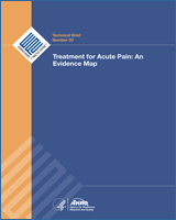 Cover of Treatment for Acute Pain: An Evidence Map