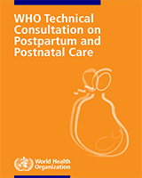 Cover of WHO Technical Consultation on Postpartum and Postnatal Care