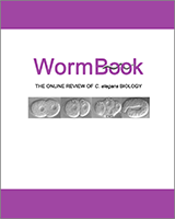 Cover of WormBook