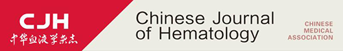 Logo of chinjhema