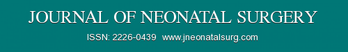 Logo of jneonsurg