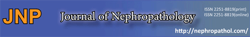 Logo of jnephropath