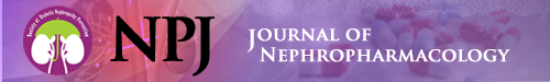 Logo of jnephropharm