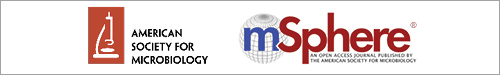Logo of msphere