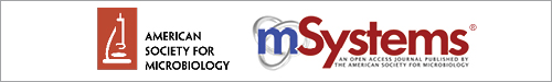 Logo of msys