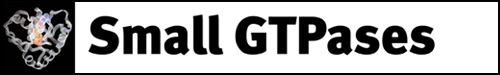 Logo of sgtp