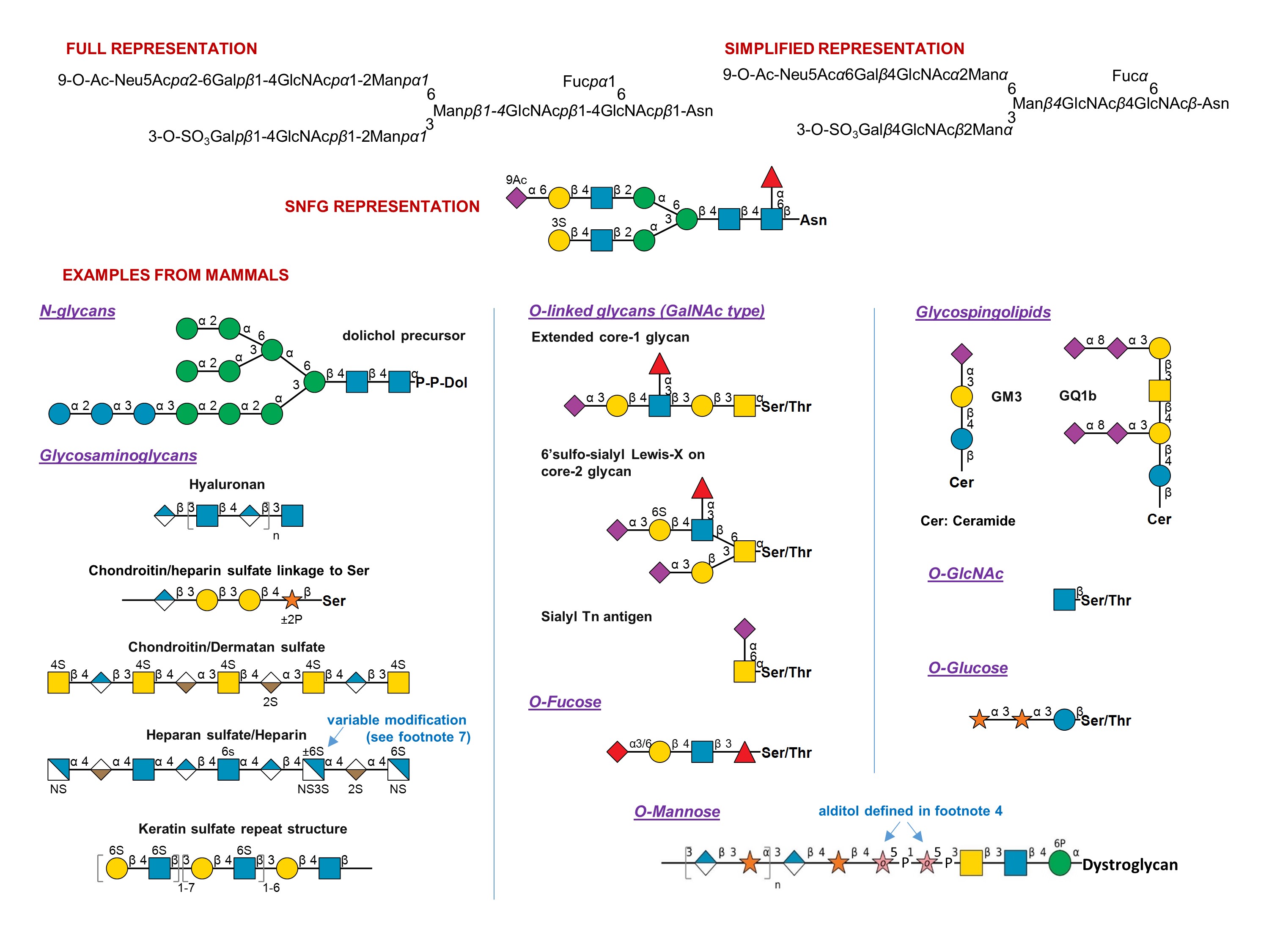 Symbol Nomenclature For Glycans Snfg Ncbi