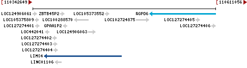 Genomic Context describing neighboring genes