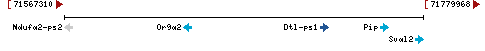 Genomic Context describing neighboring genes