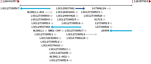 Genomic Context describing neighboring genes