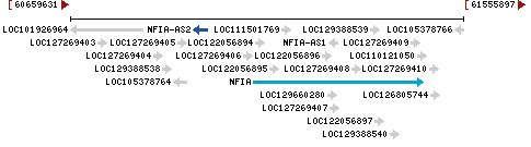 Genomic Context describing neighboring genes