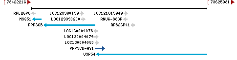 Genomic Context describing neighboring genes