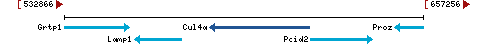 Genomic Context describing neighboring genes