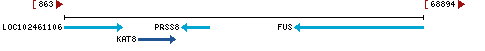 Genomic Context describing neighboring genes