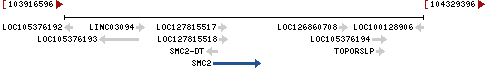 Genomic Context describing neighboring genes