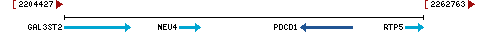 Genomic Context describing neighboring genes