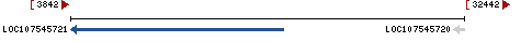 Genomic Context describing neighboring genes