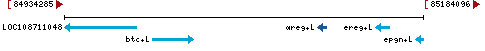 Genomic Context describing neighboring genes