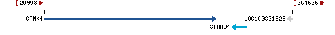 Genomic Context describing neighboring genes