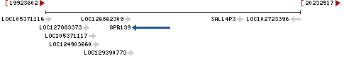 Genomic Context describing neighboring genes