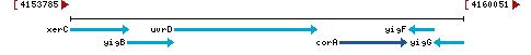 Genomic Context describing neighboring genes