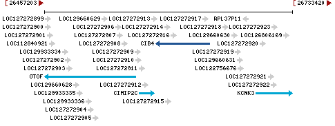 Genomic Context describing neighboring genes