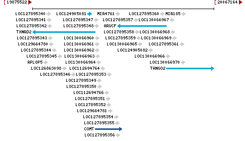 Genomic Context describing neighboring genes