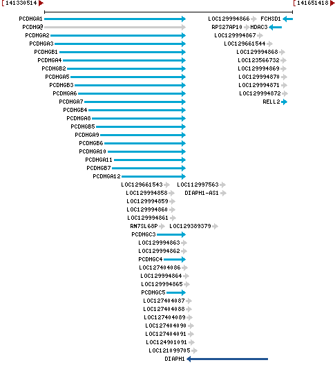 Genomic Context describing neighboring genes