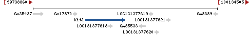 Genomic Context describing neighboring genes