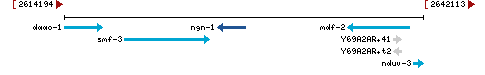 Genomic Context describing neighboring genes