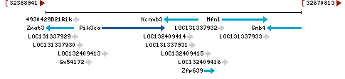 Genomic Context describing neighboring genes