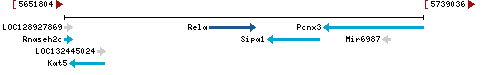 Genomic Context describing neighboring genes