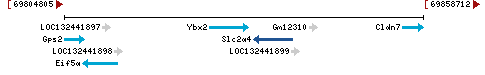 Genomic Context describing neighboring genes