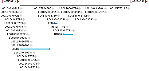 Genomic Context describing neighboring genes